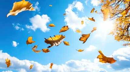 Obraz premium Swirling Autumn Leaves Dancing in Bright Sky with Clouds