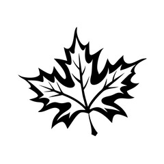 Leaf Silhouette Icon - Transparent Background 