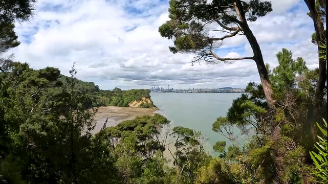Kauri Point Centennial Park: Scenic Lookout Over Waitemata Harbour and Auckland Cityscape Framed by Lush Green Forest
