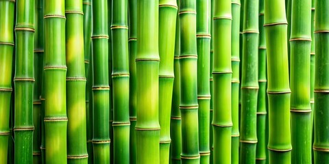 Fototapeta premium Green bamboo texture background with vibrant shades of green and detailed stalk patterns