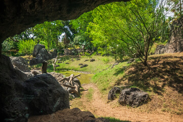 A zoo’s environment is more than just exhibits; it’s a bridge connecting us to the wild world, Houston Zoo, Houston, Texas, United States of America