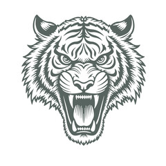Fototapeta premium Vector Illustration of Tiger in Vintage Hand-Drawn Style