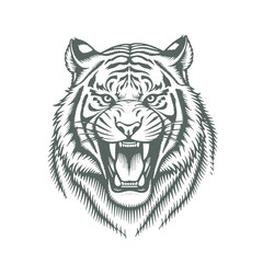 Fototapeta premium Wild Animal Tiger Head in Sketch Style, Hand-Drawn Vector Art