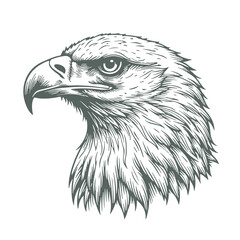 Hand-Drawn Eagle Head Sketch, Wild Animal Vector Illustration