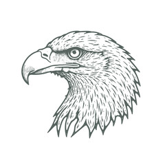 Vector Illustration of Eagle in Detailed Hand-Drawn Style