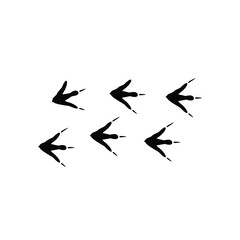 bird foot logo vector design