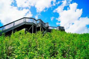 Fototapeta premium Macon, Georgia, USA- 07 20 2024: The landscape of Ocmulgee Mounds National Historical Park