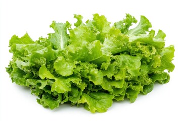 green lettuce leaves on white background for salad , ai