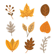 Fototapeta premium Hand drawn autumn leaves set. Autumn, fall, and thanksgiving decoration. Suitable for flat design graphic illustration, clip art, stickers, etc