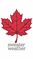 Sweater Weather, autumn leaves , typography,  fall quotes , isolated on white background 