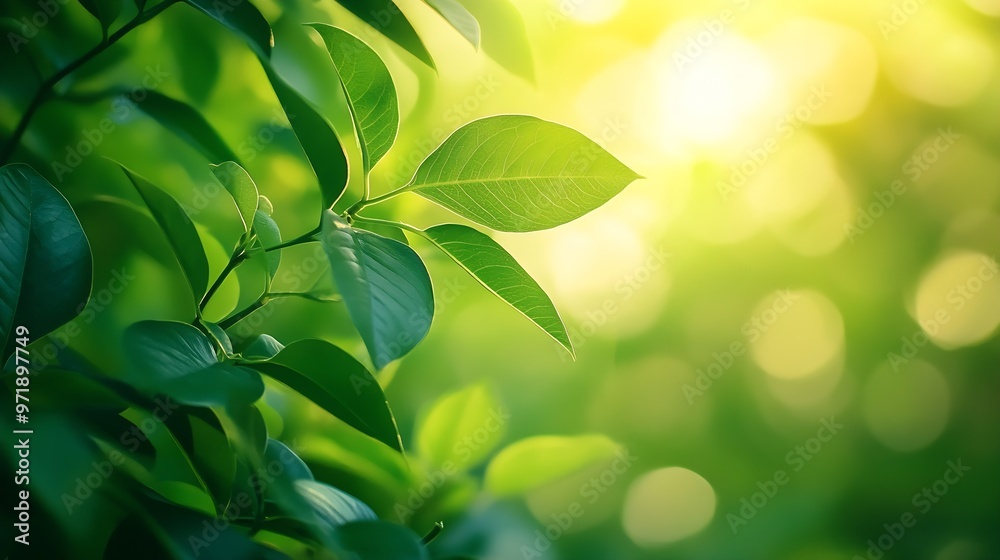 Aufkleber Abstract background nature view with copy space using as background natural landscapeTextures Leaves cover page fresh wallpaper concept : Generative AI