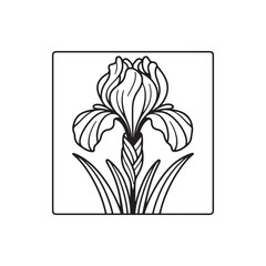 Iris Flower Illustration - Linear Botanical Vector on White.