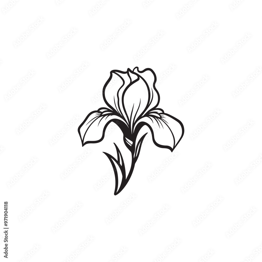 Wall mural Botanical Iris Outline - Elegant Vector Flower Illustration.