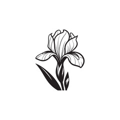 Botanical Iris Outline - Elegant Vector Flower Illustration.