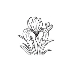 Vector Illustration of a Beautiful Iris Flower - Botanical Line Drawing.
