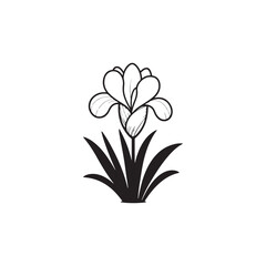 Iris Flower Illustration Isolated on White - Vector Botanical Sketch.
