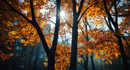 Glowing autumn tree branches abstract background