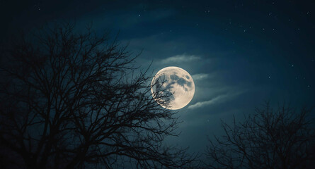 Fototapeta premium Full moon foggy night sky abstract background