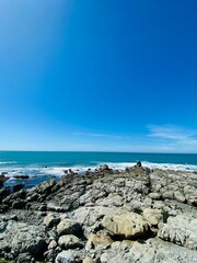 Beautiful views of Kaikoura costal beach and seal colony , South Island, New Zealand 