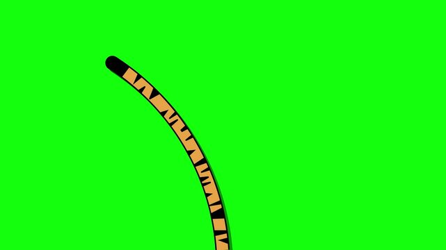 The tiger's tail sways to the right and left. Animated tiger tail 4K looping