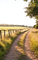 Fototapeta premium A rural dirt path flanked by fences and open farmland, with a gentle breeze rustling through the grass and a bright, clear sky above