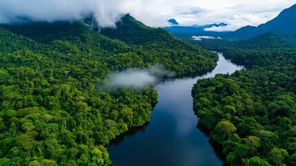 A peaceful river flowing through a dense, lush rainforest surrounded by mountains.