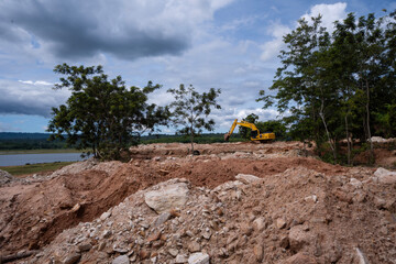Building soil destroying jungle and rainforest for human habitation and settlements , with few remaining native trees