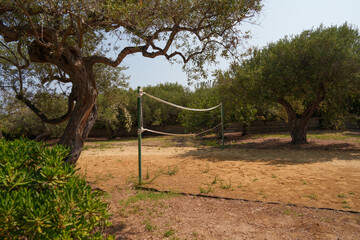 simple volleyball net set up in a sandy, outdoor area surrounded by olive trees and greenery, under...