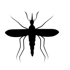 Mosquito Silhouette 