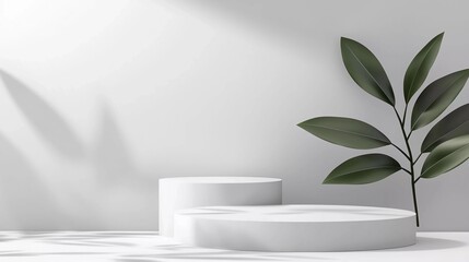 
Realistic white 3D round podium background with wood top, Green palm leaf scene. Minimalist 3D mockup abstract cosmetic product display presentation, Stage showcase. Nice platforms vector geometric 