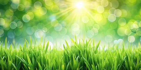 Obraz premium Sunny springtime scene with bokeh effect and fresh green grass. Banner design with space for text, spring, sunny, nature