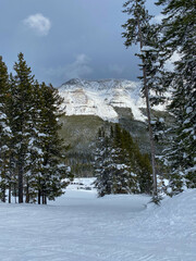 snow covered mountains