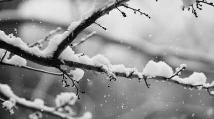 Obraz premium snow on branches generative ai