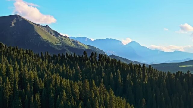 Aerial view of green forest with mountain natural landscape in summer. Beautiful mountain scenery in Xinjiang, China.