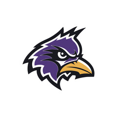 purple hawk baseball team sport logo vector illustration template design
