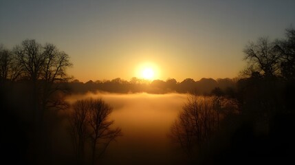 Naklejka premium A serene sunrise illuminating a misty landscape, perfect for conveying tranquility and natural beauty.