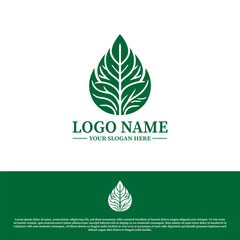 green leaf abstract logo