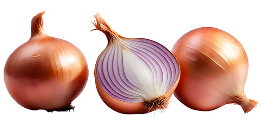 onions on a white background
