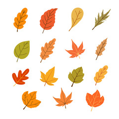 Autumn levaes and branches vector  set