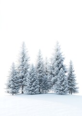 A cluster of snow-covered trees standing together in a quiet winter scene. The white background allows for clear text or branding above the treetops