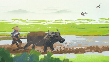 农忙，牛耕地播种插画