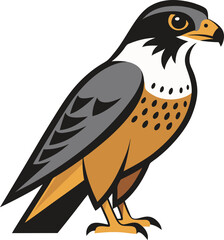 Illustration falcon fly bird animal flat art design