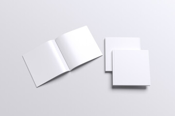 Square Brochure Book Blank