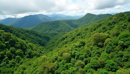 Naklejka premium Vibrant Valley A lush green mountainous landscape