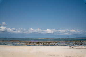 beach and sea