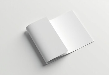 Blank brochure mockup Design Template