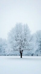 A frozen tree standing in a snowy forest, surrounded by other trees, all covered in snow. The empty sky above the scene provides space for text or branding