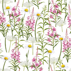 seamless pattern with willowherb and chamomile, fireweed and daisies, field flowers, watercolor drawing wild plants at white background, floral ornament, hand drawn botanical illustration