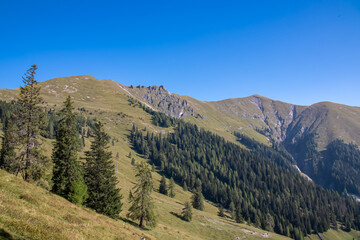 Obraz premium Lush green slopes lead up to rocky mountain peak Latschur in Gailtal Alps, Carinthia, Austria. Serene alpine landscape in warm glow of morning sun in summer. Peaceful serene atmosphere Austrian Alps