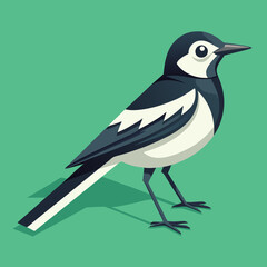 Fototapeta premium Wagtail Isometric Illustrations Vector, Elegant and Detailed Artwork